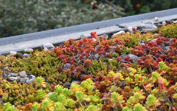 the cost of Glengormley green roof installation