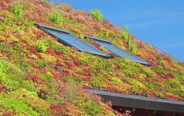 Glengormley living roof systems
